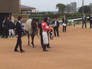 レッドライジェル、山吹賞に優勝