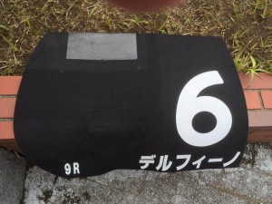 デルフィーノ 馬番と同じ6着