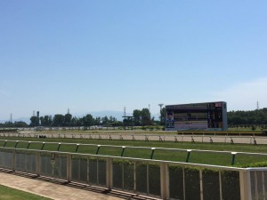 14年振りの新潟競馬場、天気よかった
