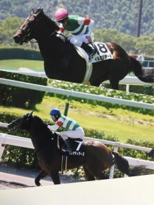 キャロットの写真まとめられてた