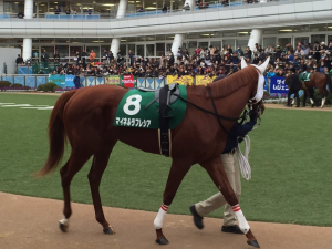 あっち向いてホイ