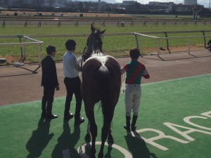 サブライムカイザー2勝目のおしり