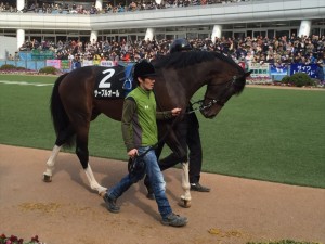 サーブルオールのパドック