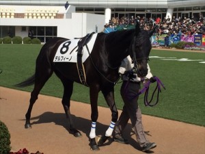 デルフィーノは中山がお嫌い