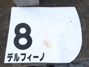 デルフィーノのゼッケン