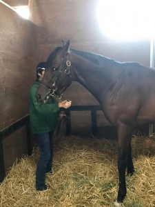 ブライトエンブレム