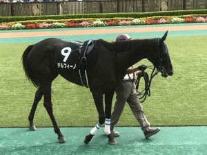 デルフィーノは2着