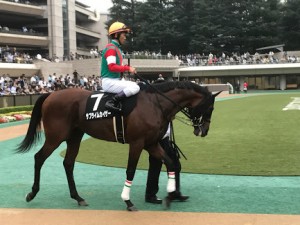 サブライムカイザーも2着