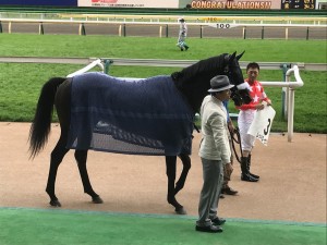 レッドローゼス (ウイナーズサークル)