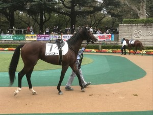 ウイントリニティーは2着