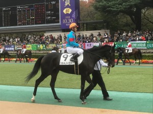 スカイノーヴァは8着