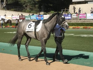 ポールヴァンドルは3着