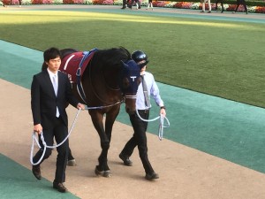 額のTはシルクユニバーサルのT