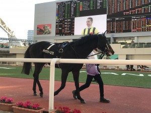 ギャラクシーエクス