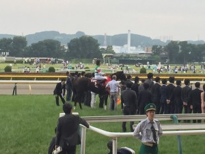 羨ましいと思ったクリプトグラムの口取り