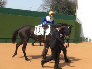 ありがとう、デルフィーノ！