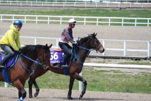 ジェイズジュエリー2013