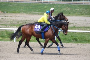 ワンソックワンダー