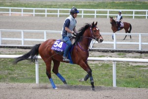 ストーミーストーム(ストーミーラリッサ2013)