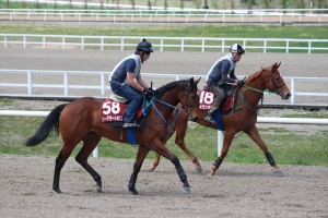 シャクンタラー(ムガール2013)とソーアラート2013。