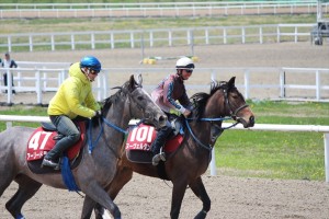 ヌーヴェルダンス(ダンスノワール2013)とアーリードライブ(アデンピアモ2013)。
