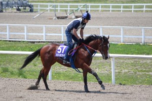 プロフィタビリティ2013