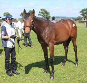 あんたたち何？