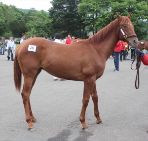 マイネカンナ2014