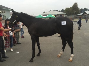 ビバムールフィユ2014