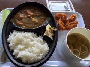 ヤーコン入りカレー 2016