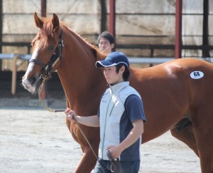 クライウィズジョイ2014 風格があった