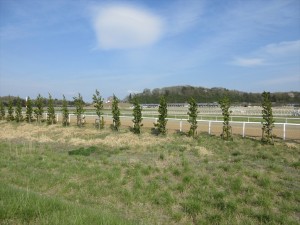 坂路から見たノーザンファーム天栄