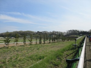 坂路は続くよどこまでも