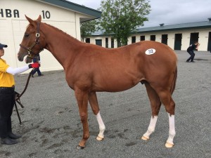 エンジェルシェア2015