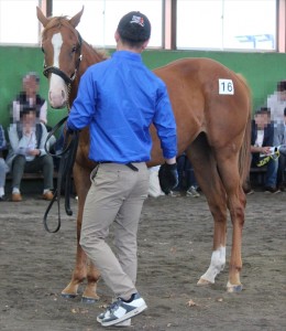 テーマソング2015