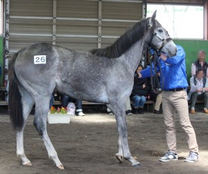サマーエタニティ2015