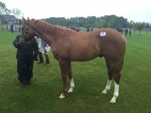 アロマキャンドル2015