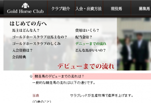 デニュー特戦隊