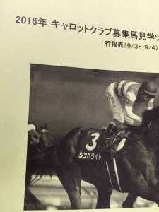 しおりの表紙はシンハライト