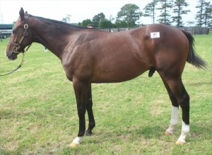 ヒルダズパッション2015