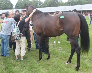 トゥザクラウン