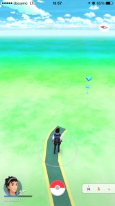 奥に見えるポケストップはトウカイテイオーの墓