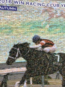 ウインのカタログ