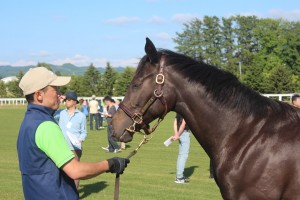 ナンバーワンになるのも楽じゃないわ (眠そうなソウルスターリング)