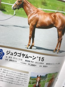 ツキミバーガー大好き