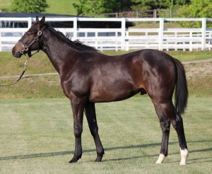 若きし頃のロードアルバータ