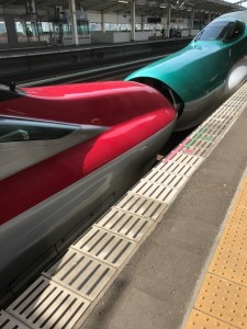 こんな電車だった
