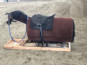 シルクモクバドンナ