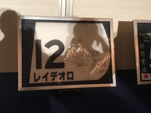 ゼッケンにうつる私の影