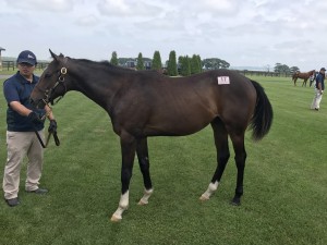 アンティフォナ2016